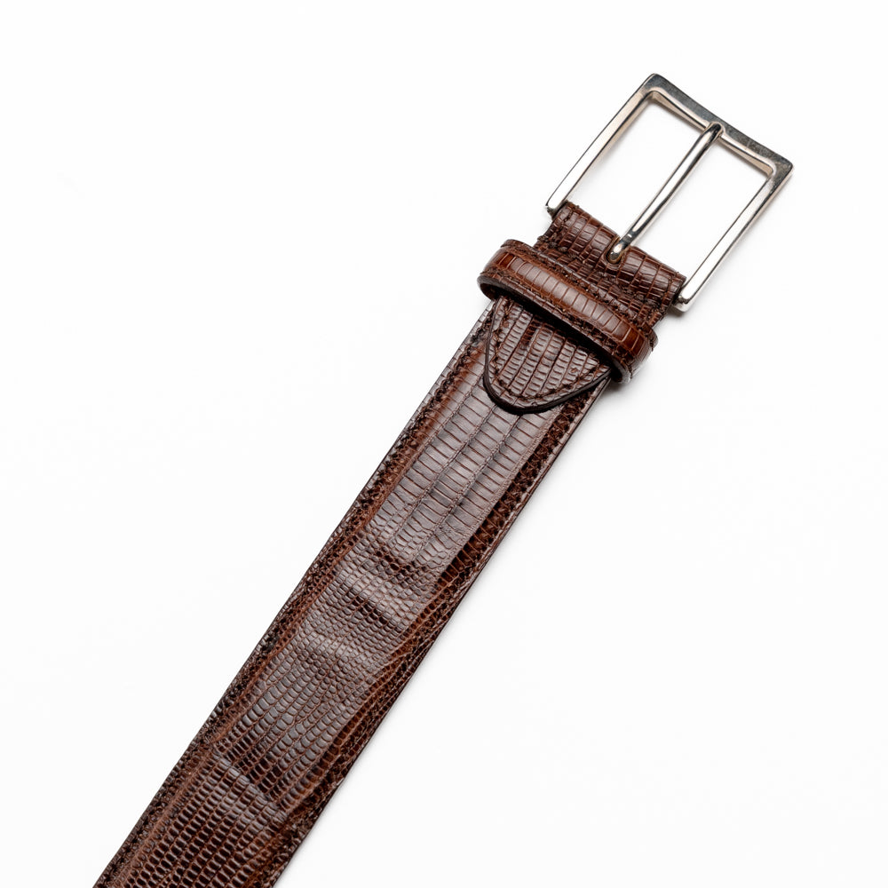 74-350-BRN BELT TEJU LIZARD, Brown